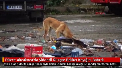 Düzce Akçakoca'da Şiddetli Rüzgar Balıkçı Kayığını Batırdı