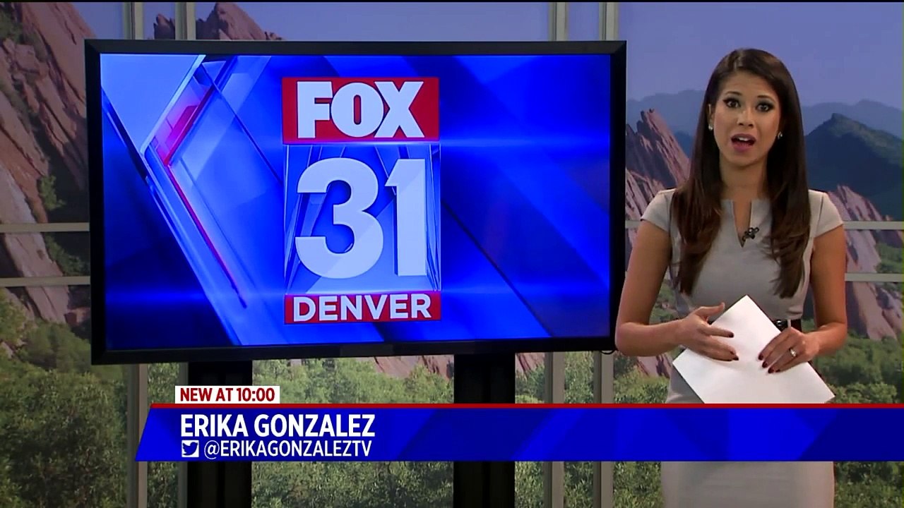 Dogs Seized in Animal Cruelty Case Get Much-Needed Love