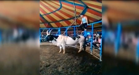 O cabra mais macho que você verá hoje!