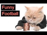 Transfer Kitty! How Many Football Cliches Can You Count?