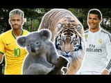 15 Strange Photos Of Footballers With Animals | Ft. Ronaldo, Neymar & Ibra