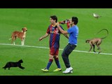 The World's Funniest Pitch Invaders