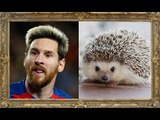 15 Footballers Who Look Like Animals