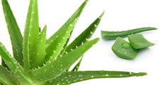 How to make Aloe vera gel in 5 minutes - for skin & hair - starnaturlbeauties