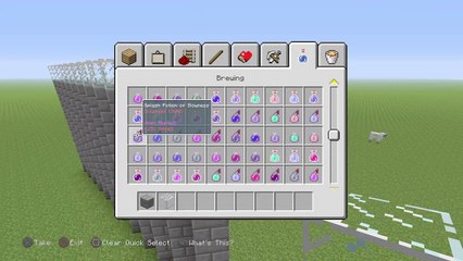 Minecraft PS4|Quest To Kill The Wither!!!|#1 (209)