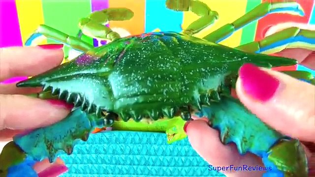 Sea Animals Toy Collection Kids Toys Fish Turtle Octopus Toys Pescado Peixe Funny Ending