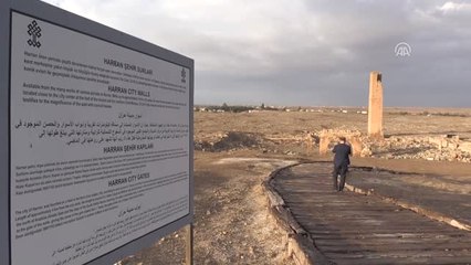 AB Büyükelçiler, Harran Üniversitesi ve Ulu Cami Harabelerini Ziyaret Etti