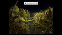 Samorost 3: iOS Walkthrough Guide Part 3 Floating Log   All Achievements! (by Amanita Design)