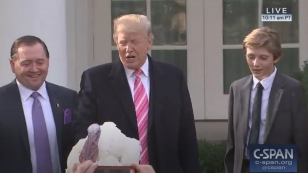 Trump pets Drumstick the Turkey while congratulating himself during pardoning ceremony