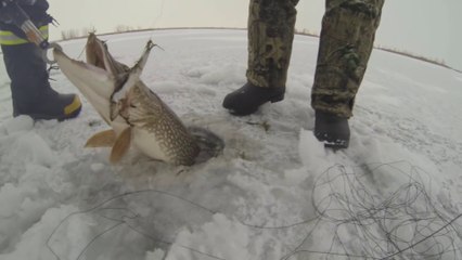 Pour sa première fois, il va pecher un brochet de plus d'1m de long sur un lac gelé
