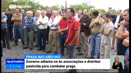 Governo Regional está a entregar aos apicultores pesticidas para combate a pragas que afetam as abelhas