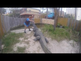 Thanksgiving With the Gators in Orlando, Florida