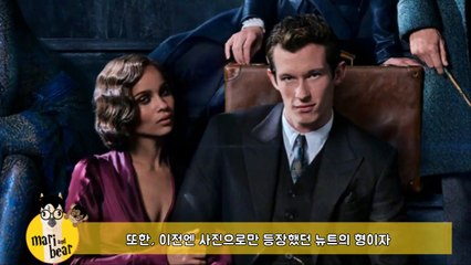 신비한 동물들과 그린델왈드의 범죄 다시보기 2018 인기 영화 초고화질 HD full movie 다운로드