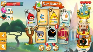 Flash Games Show Live Stream Angry Birds 2 Pork City