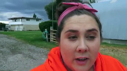 Trying to Save A 3-Day Old Kitten (Sad Vlog)