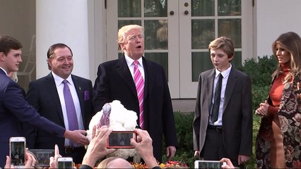 Trump pardons two Thanksgiving turkeys at the White House