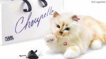 Karl Lagerfeld's Cat Gets $545 Toy Version
