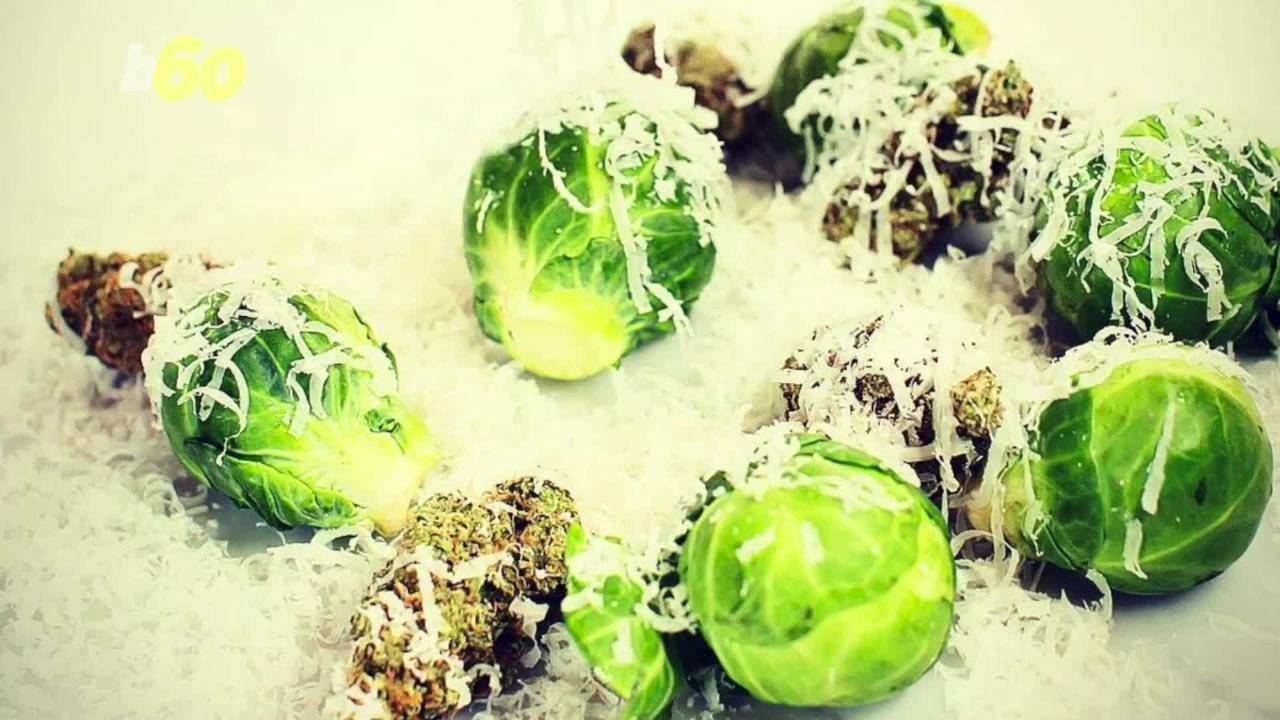 Get Yoga High With This 5-Day Cannabis Retreat