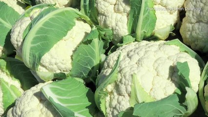 Why Trader Joe's is Limiting its Cauliflower Rice