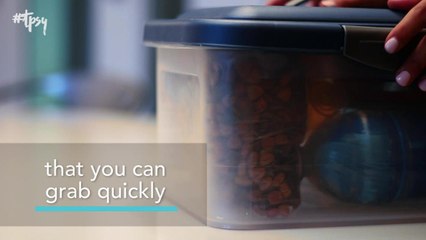 How to Keep Furry Family Members Safe in a Fire