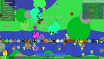 DONKEY   ELEPHANT = R.I.P ALL BLACK DRAGONS! DESTROYING/TROLLING ALL ANIMALS IN MOPE.IO! (Mope.io)