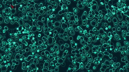 New Clue Found In Saliva Adds Possible New Evidence For Ancient Human 'Ghost Species'