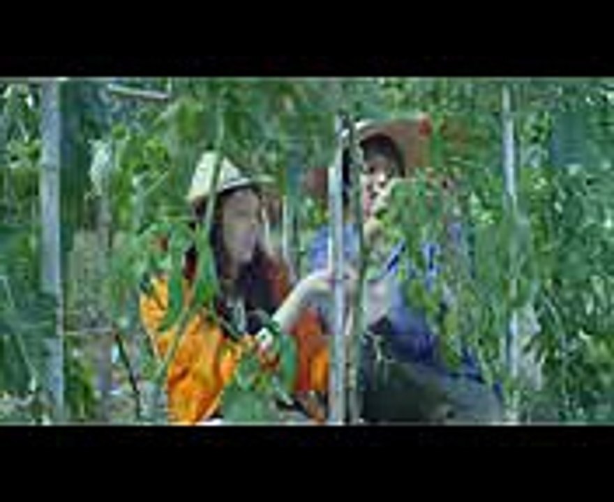 映画『きいろいゾウ』予告編