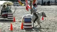 Barrelrace