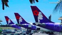 Unruly Hawaiian Airlines Passenger Owes The Airline More Than $98,000