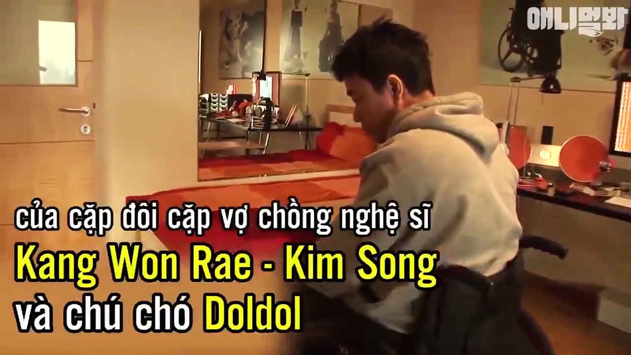 Doldol, chú chó Doldol với nghị lực phi thường và món quà bất ngờ dành tặng cho chủ nhân