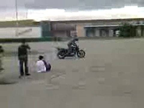 stunt lyon 500 cb d fox