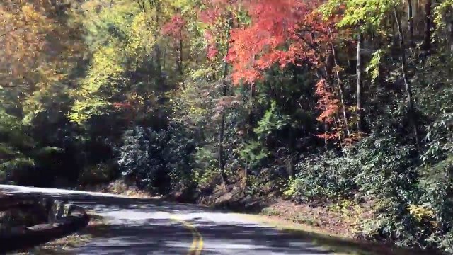 Cades Cove of The Great Smoky Mountains~