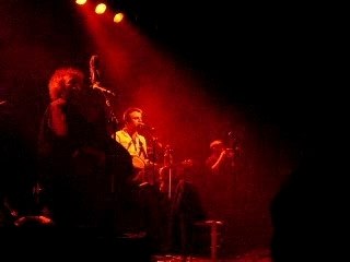 8  MSSR Carottes rapées