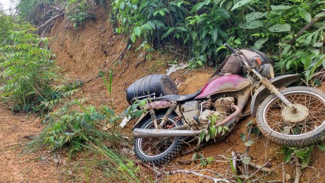 Brasil exporta madera manchada de sangre , denuncia Greenpeace
