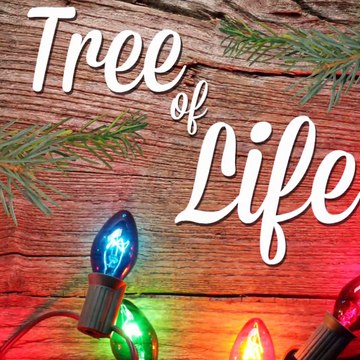 Buy Sterling Silver, Gemstone, Statement Jewellery at Affordable Prices