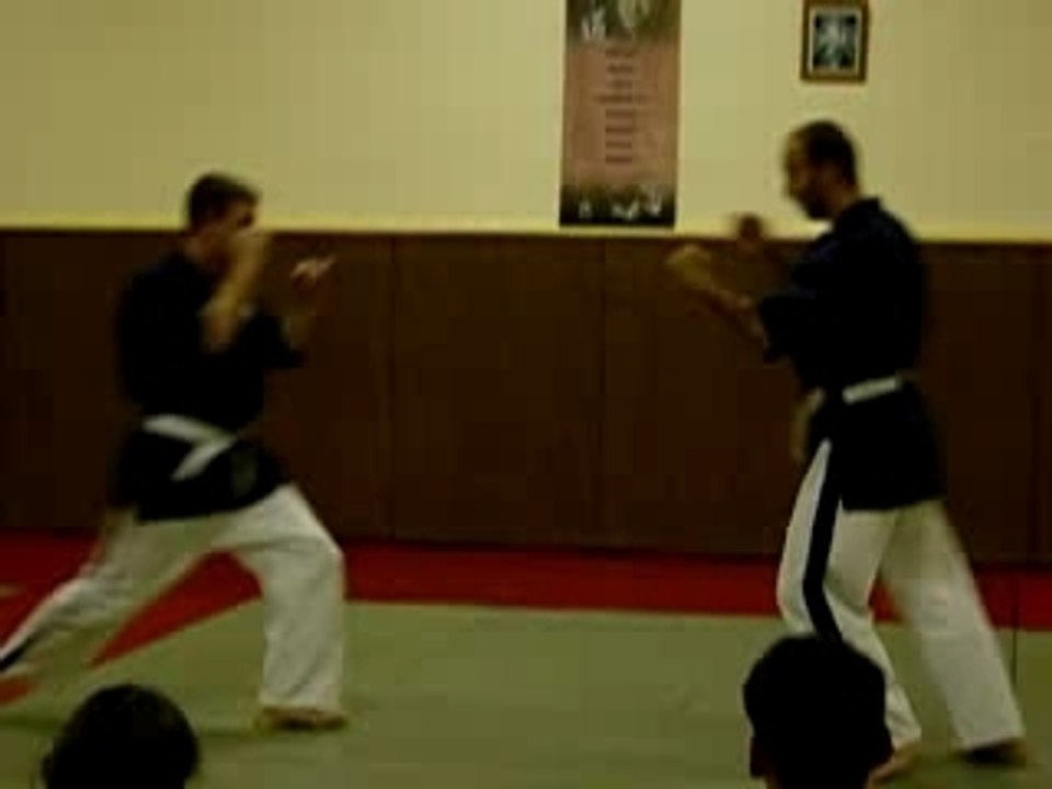 Projection johann (yoseikan Budo)