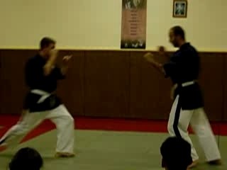Projection johann (yoseikan Budo)