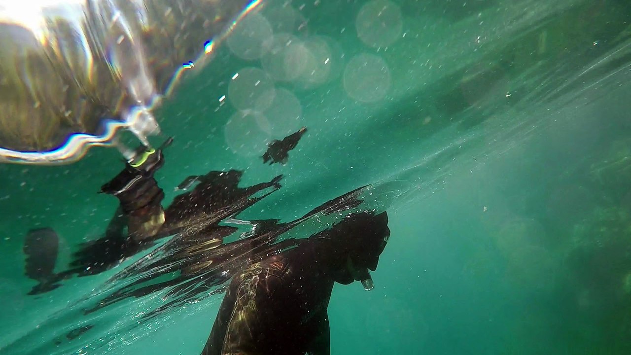 Fernando Free Diving