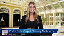 Pocka Dola: Carpet Cleaning Melbourne Surrey Hills Incredible Five Star Review by 森谷光