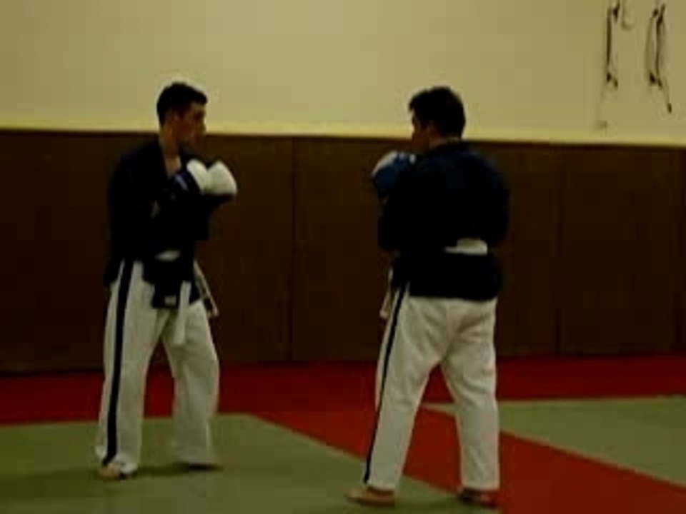 Mathieu projection (yoseikan Budo)