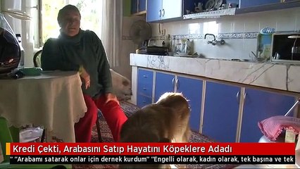 Kredi Çekti, Arabasını Satıp Hayatını Köpeklere Adadı