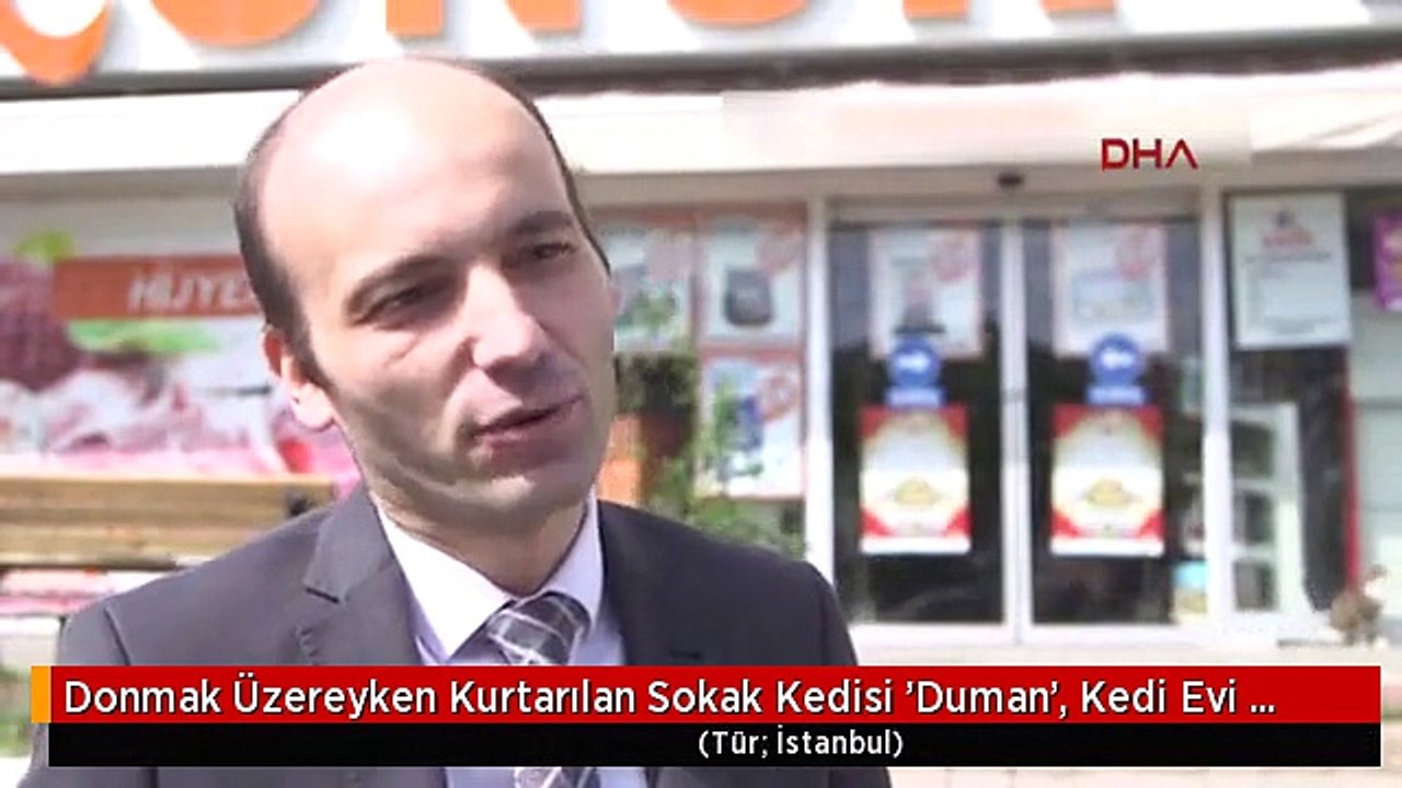 Donmak Üzereyken Kurtarılan Sokak Kedisi 'Duman', Kedi Evi Projesine İlham Kaynağı Oldu