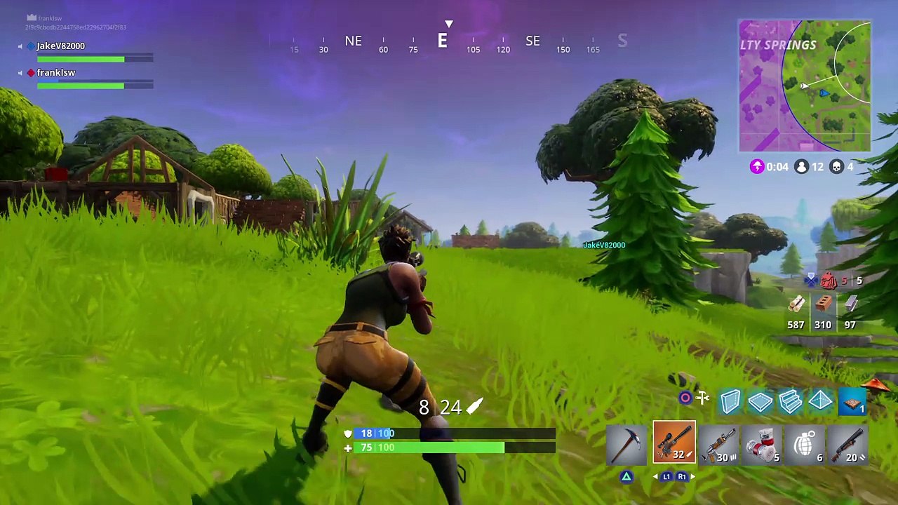 Fortnite_20171122013146