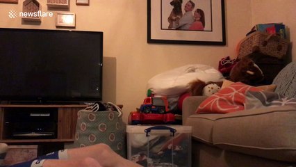 Father uses toddler as gym apparatus