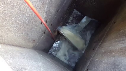 Débouchage d'une bouche d'égout encombrée par des couches... Impressionnant