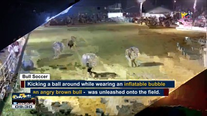 #WTFACTS: Bull Soccer