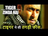 Tiger Zinda Hai के लिए Salman Khan ने ली इतनी Fees, सुनकर उड़ जायेंगे होश