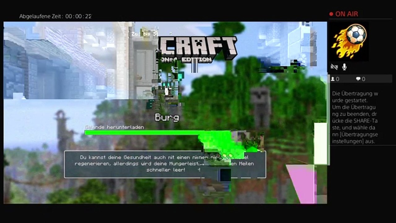 Minecraft (77)