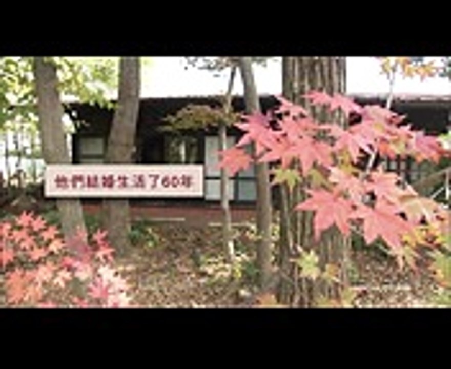 《積存時間的生活》電影預告 1110美麗人生