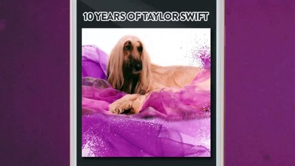 10 Years of Taylor Swift _ Pup Culture _ Comedy Central | Daily Funny | Funny Video | Funny Clip | Funny Animals